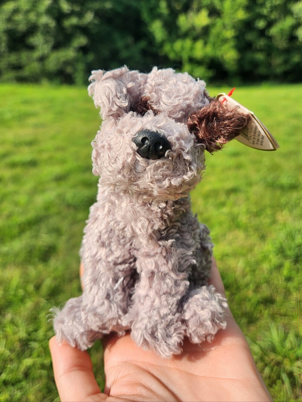 "Frizzer" Scottish Terrier Ty Beanie Baby